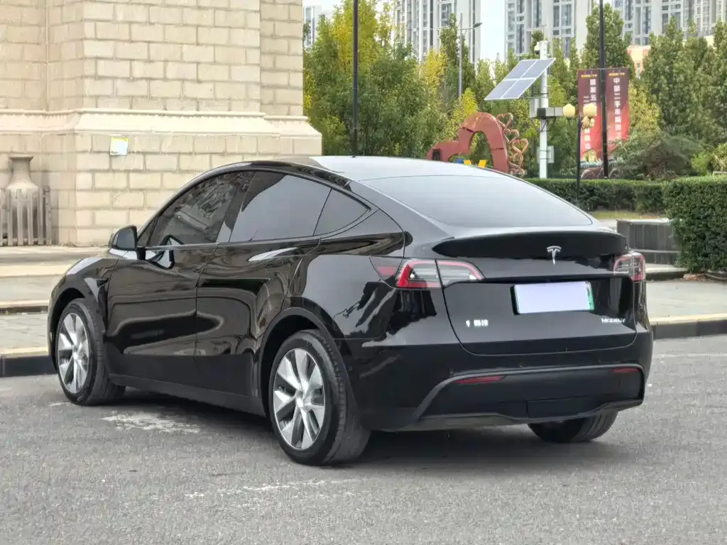 Tesla Model Y 2022 из CN, фото 9