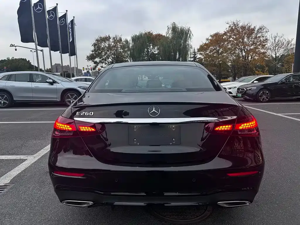 Mercedes-Benz E-Class (Import) — фото 8