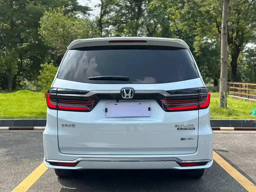 [object Object] Elysion 2024 из CN, фото 5