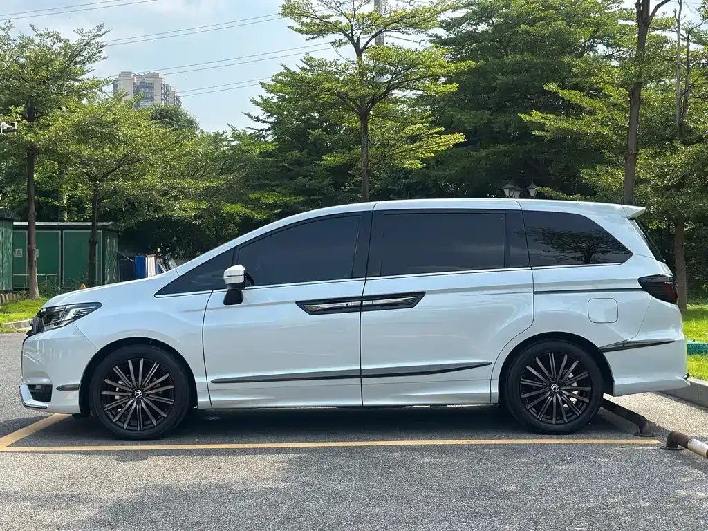 [object Object] Elysion 2024 из CN, фото 7