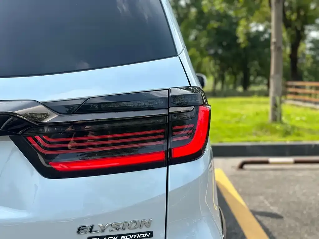 [object Object] Elysion 2024 из CN, фото 9