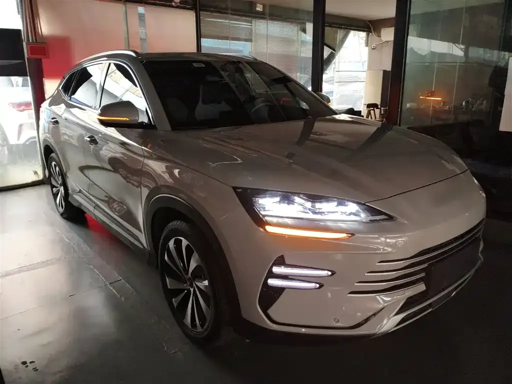 BYD PLUS New Energy — фото 4