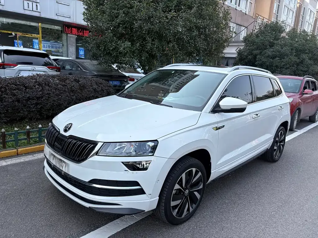 Skoda Karoq 2022 из CN, фото 1