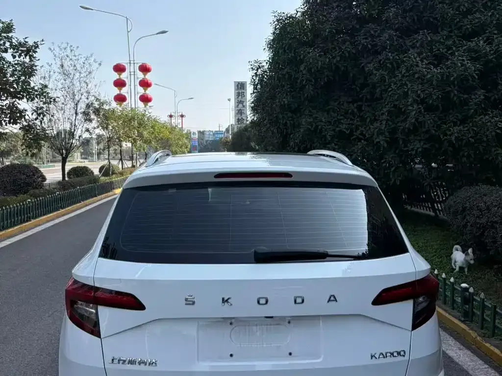 Skoda Karoq 2022 из CN, фото 10
