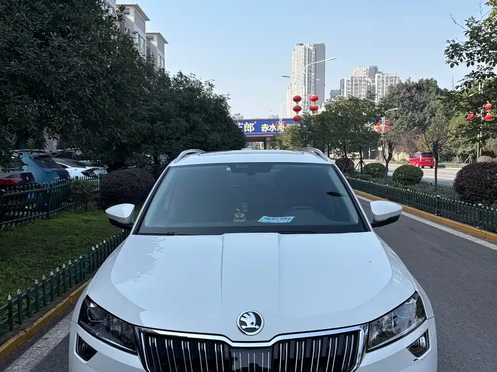 Skoda Karoq 2022 из CN, фото 2
