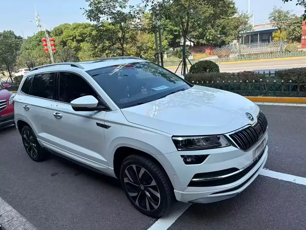 Skoda Karoq 2022 из CN, фото 3