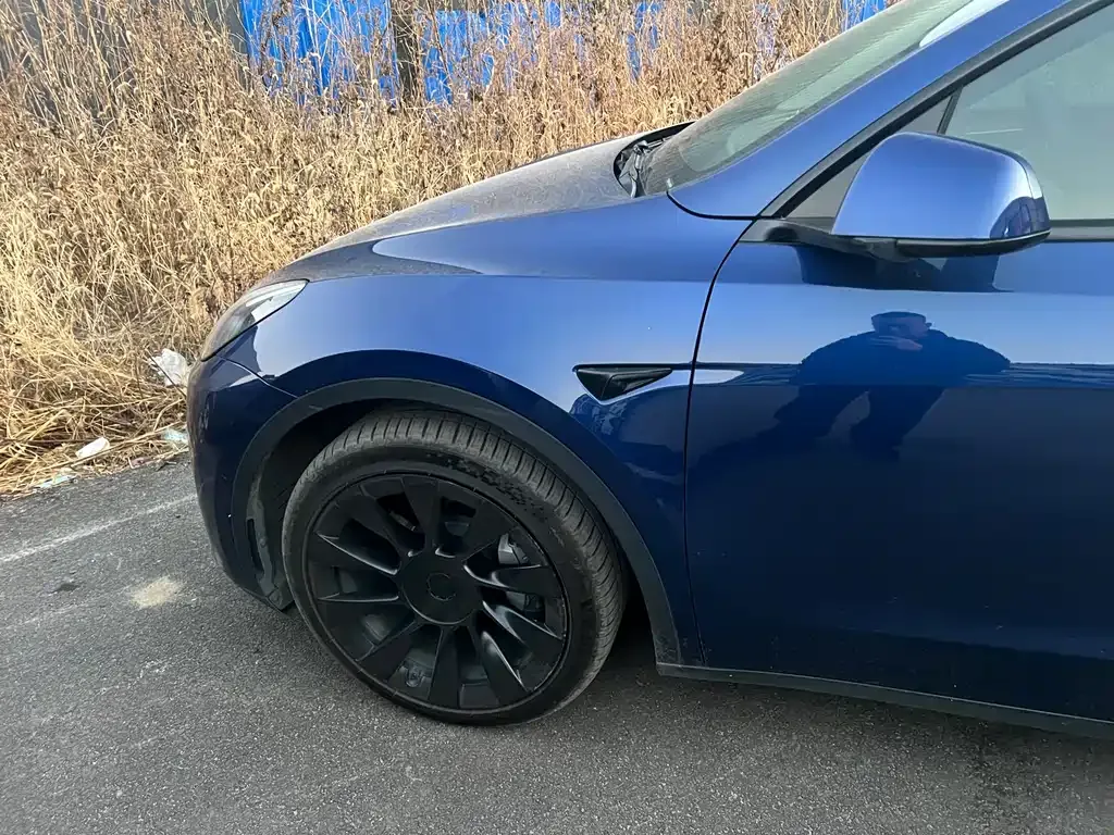 Tesla Model Y — фото 2