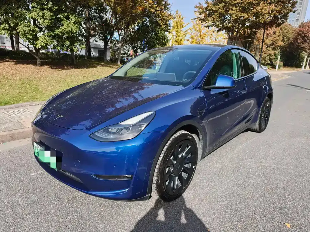 Tesla Model Y 2021 из CN, фото 1