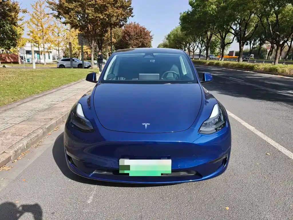 Tesla Model Y 2021 из CN, фото 2