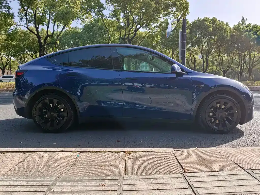 Tesla Model Y 2021 из CN, фото 3