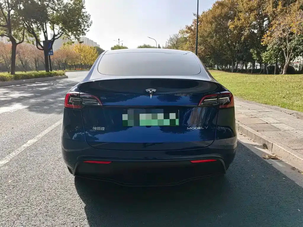 Tesla Model Y 2021 из CN, фото 4