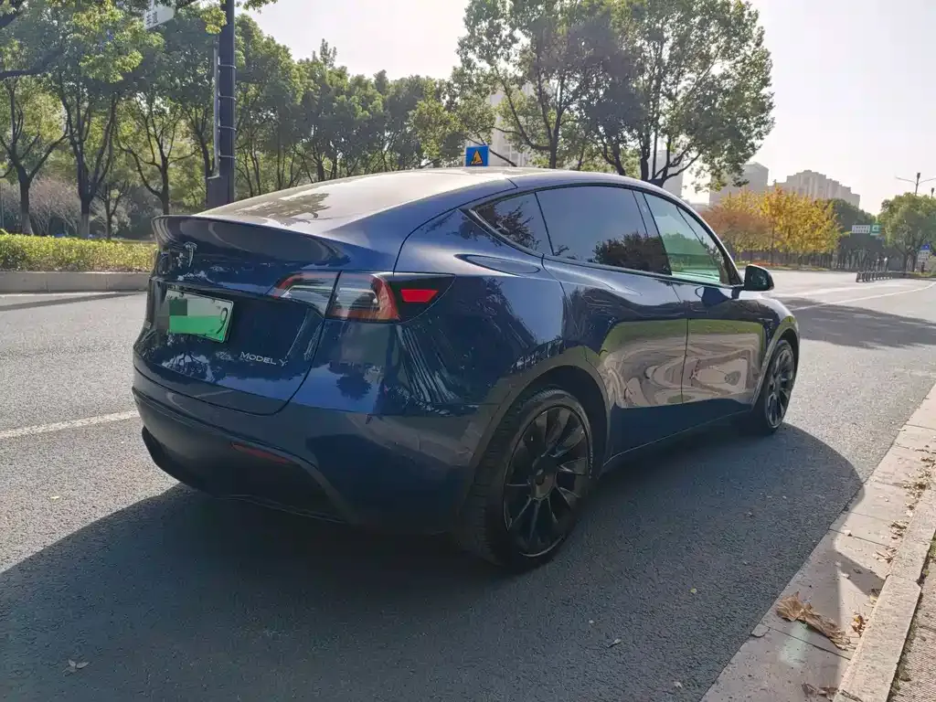 Tesla Model Y 2021 из CN, фото 5