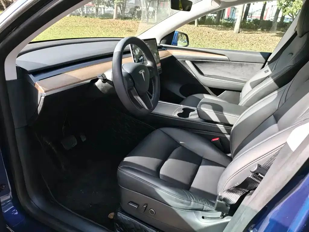 Tesla Model Y 2021 из CN, фото 6