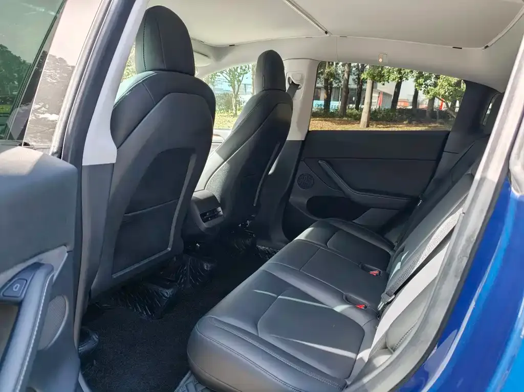 Tesla Model Y 2021 из CN, фото 7