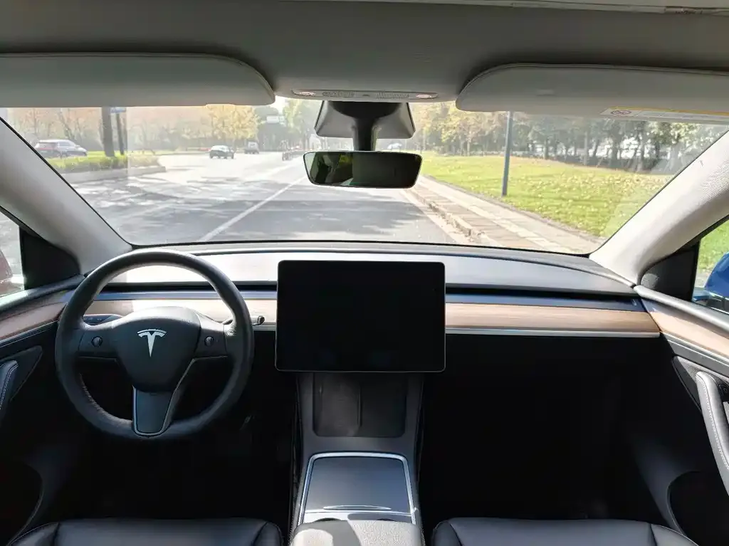Tesla Model Y 2021 из CN, фото 8