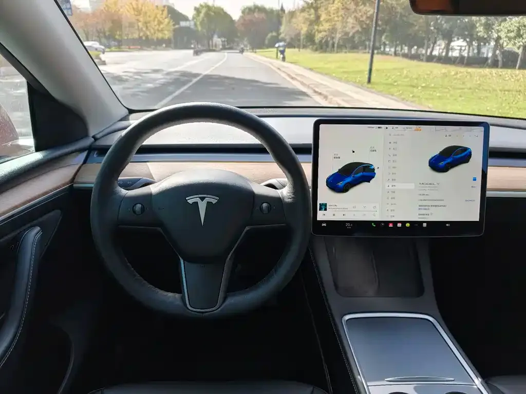 Tesla Model Y 2021 из CN, фото 9
