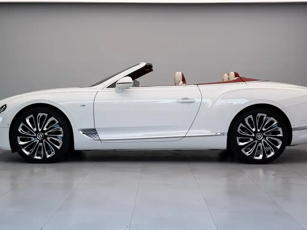 [object Object] Continental 2021 из CN, фото 5