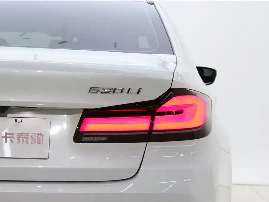 BMW 5 Series 2022 из CN, фото 10