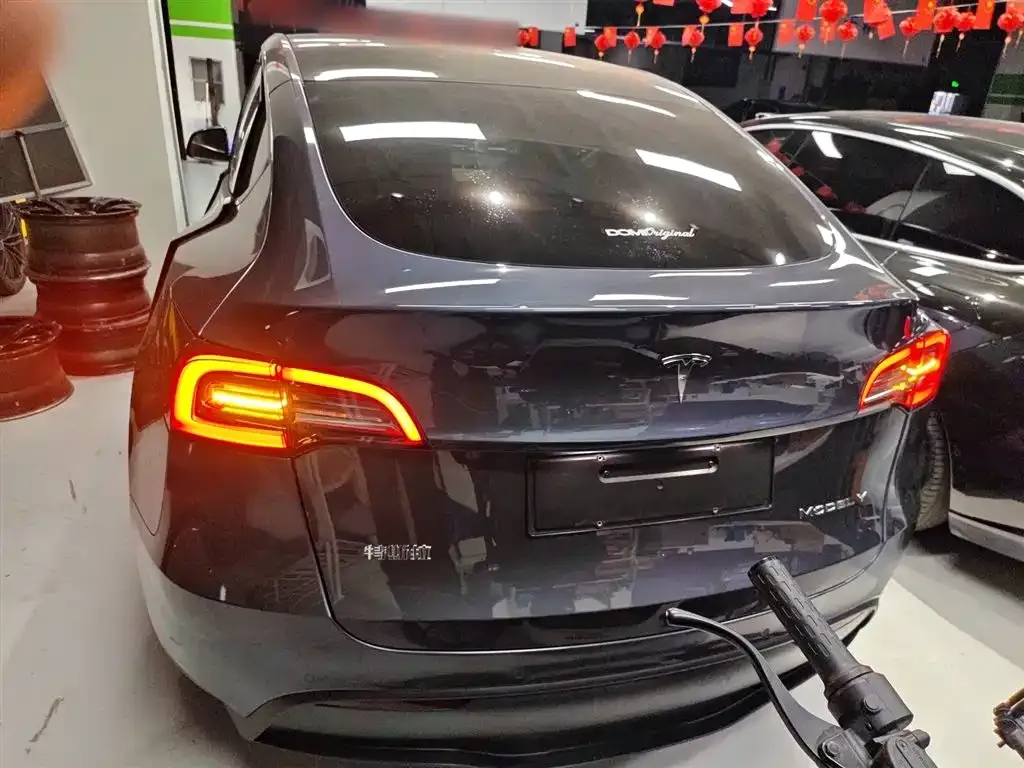 [object Object] Model Y 2021 из CN, фото 6