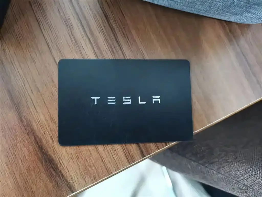 [object Object] Model Y 2021 из CN, фото 9