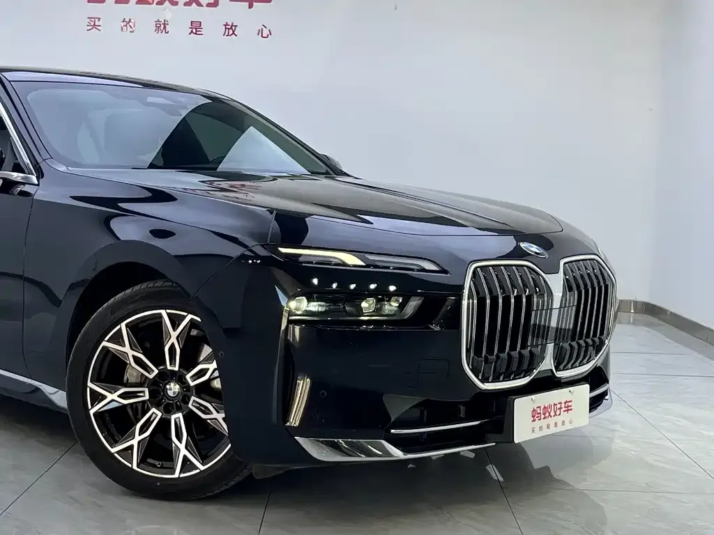 BMW 7 Series 2023 из CN, фото 7