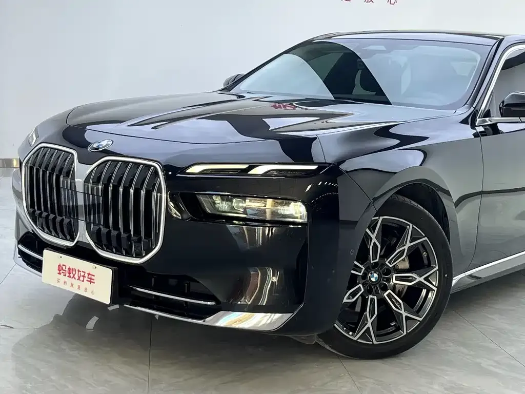 BMW 7 Series 2023 из CN, фото 8