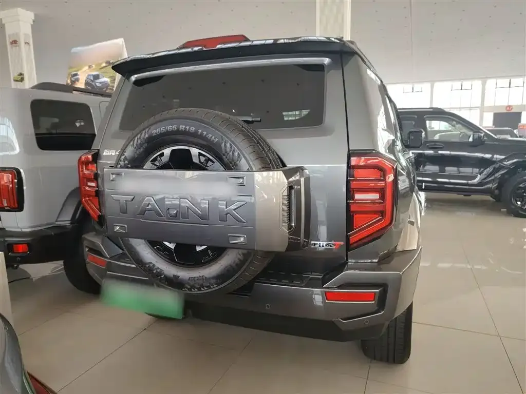 Tank 400 New Energy 2024 из CN, фото 7