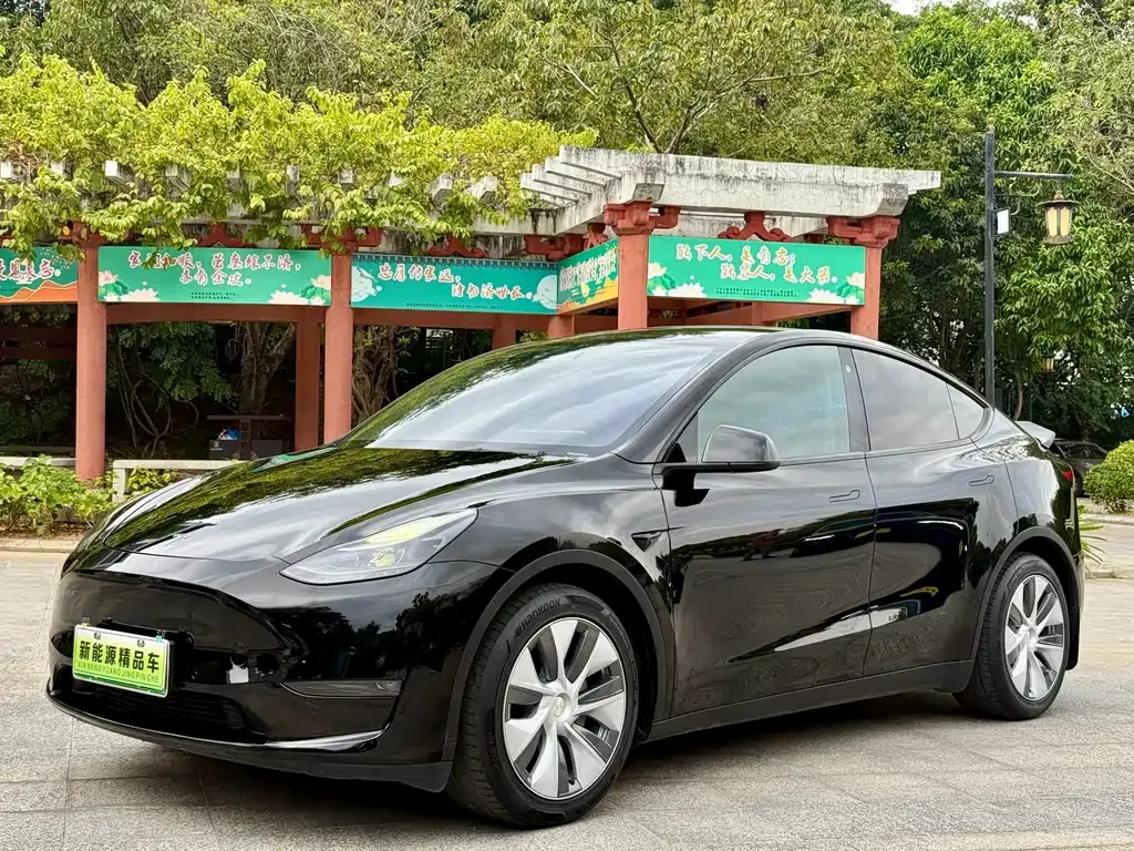 Tesla Model Y 2021 из CN, фото 1