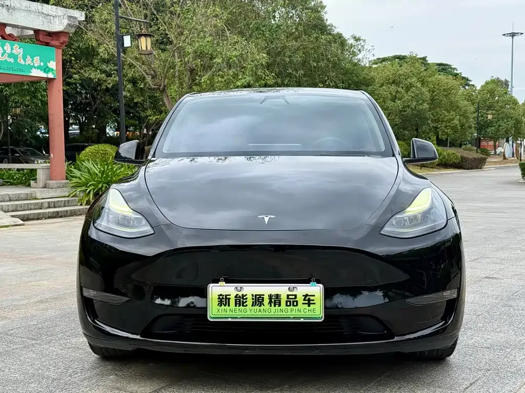 Tesla Model Y 2021 из CN, фото 2