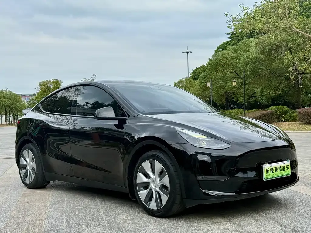 Tesla Model Y 2021 из CN, фото 3