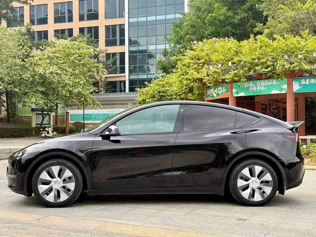 Tesla Model Y 2021 из CN, фото 4