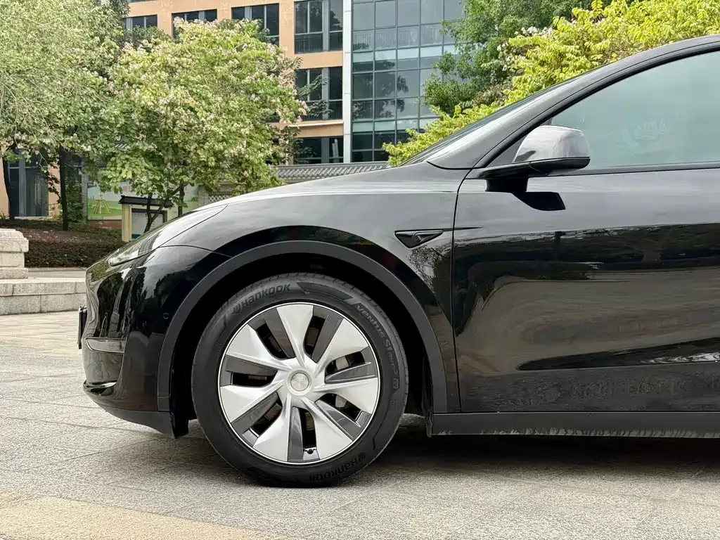 Tesla Model Y 2021 из CN, фото 5