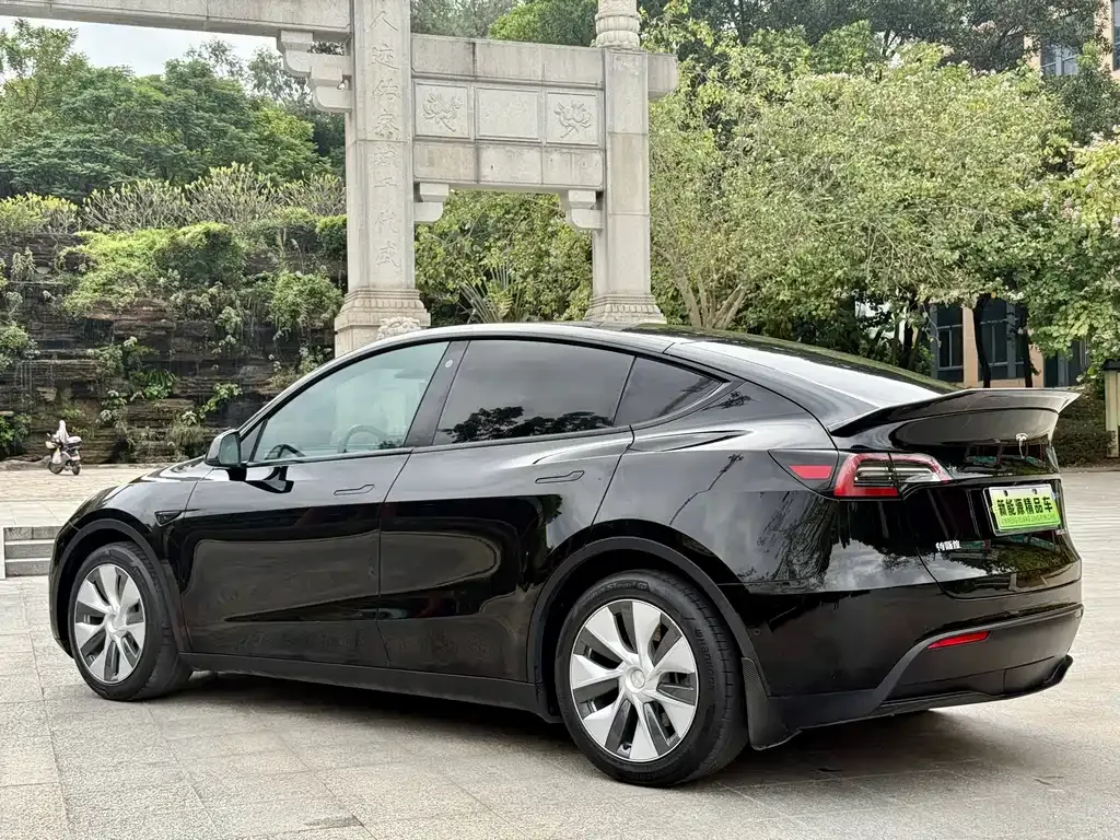 Tesla Model Y 2021 из CN, фото 6