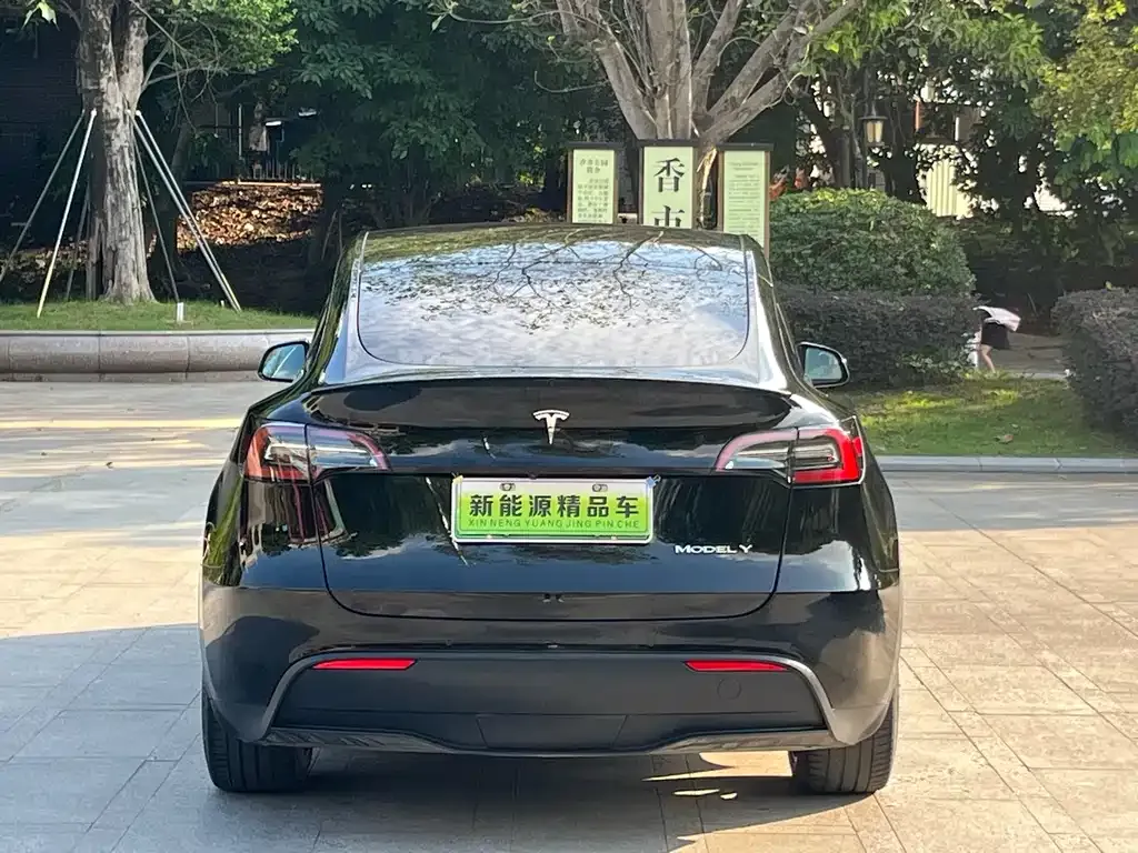 Tesla Model Y 2021 из CN, фото 7