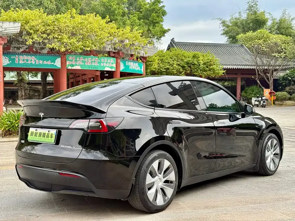 Tesla Model Y 2021 из CN, фото 8