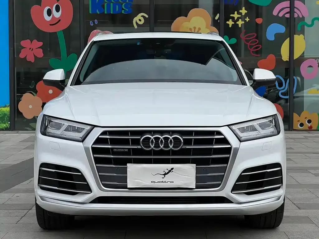 Audi Q5L 2021 из CN, фото 1