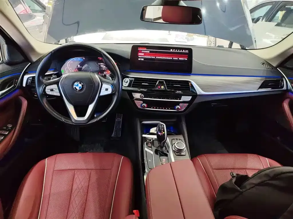 BMW 5 Series 2022 из CN, фото 10