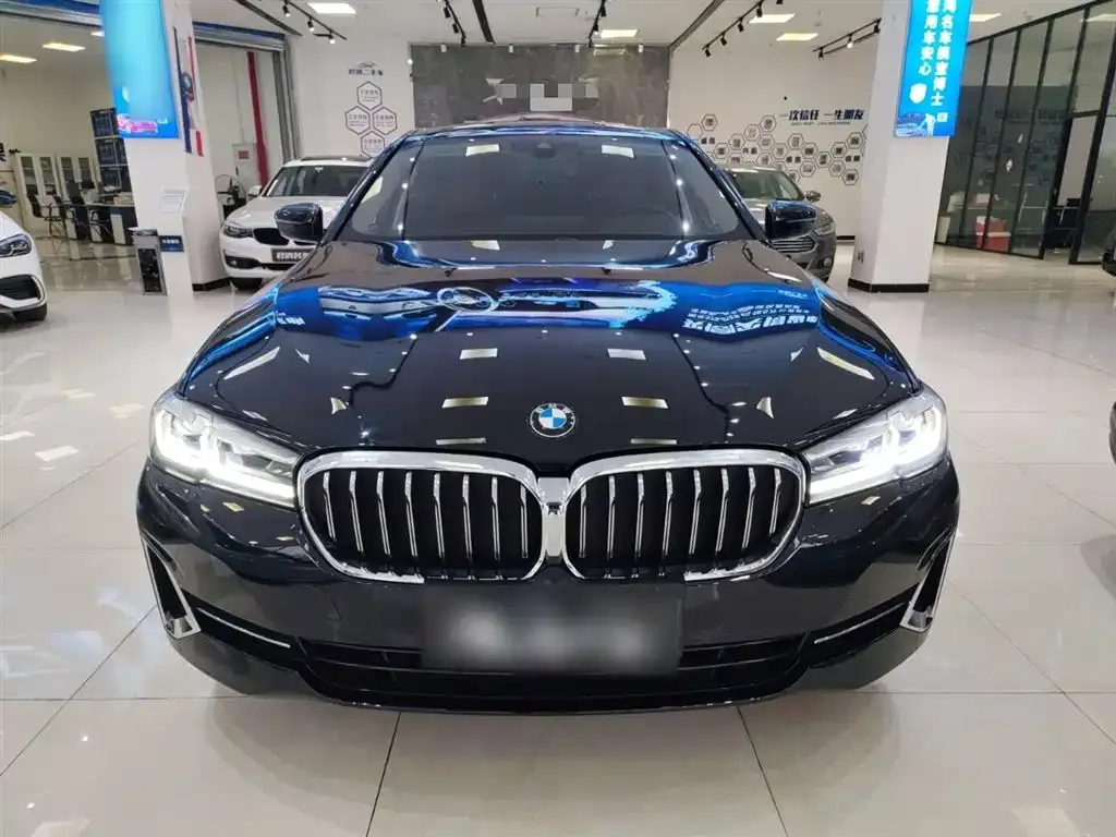 BMW 5 Series 2022 из CN, фото 3
