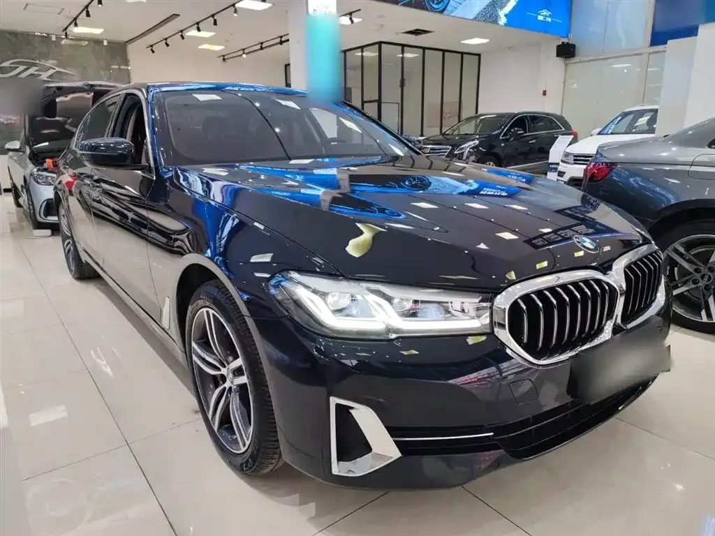 BMW 5 Series 2022 из CN, фото 4