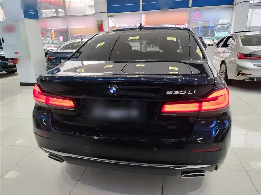 BMW 5 Series 2022 из CN, фото 6