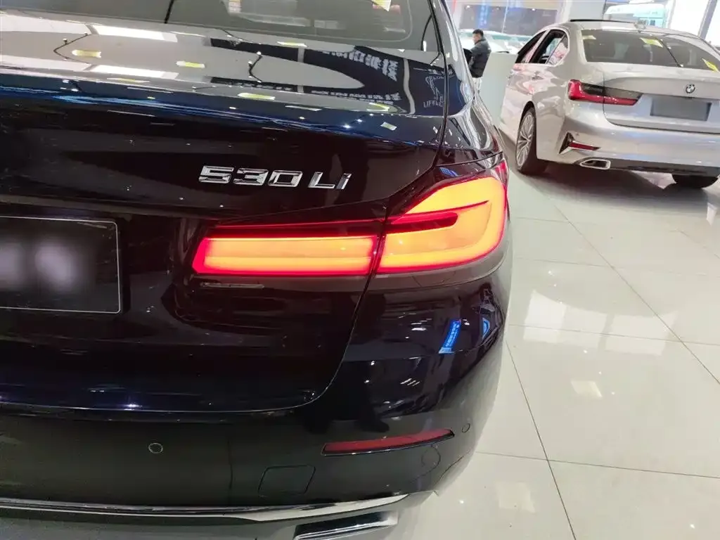 BMW 5 Series 2022 из CN, фото 8