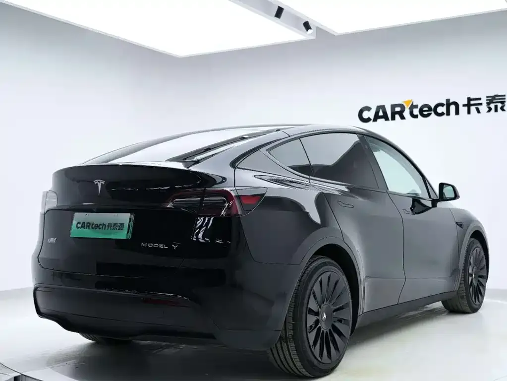 Tesla Model Y — фото 10