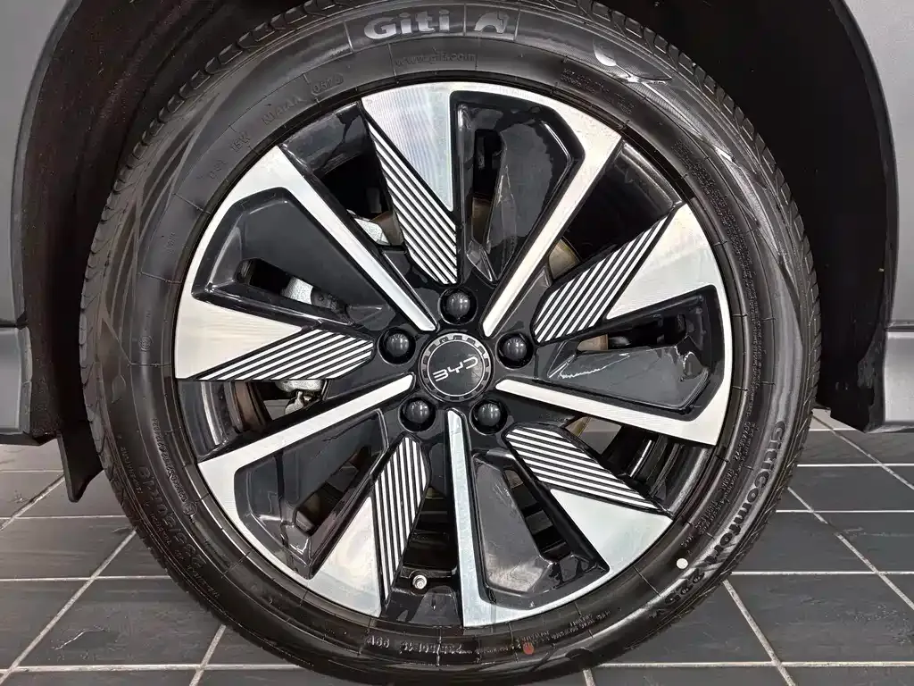 BYD PLUS New Energy 2025 из CN, фото 4