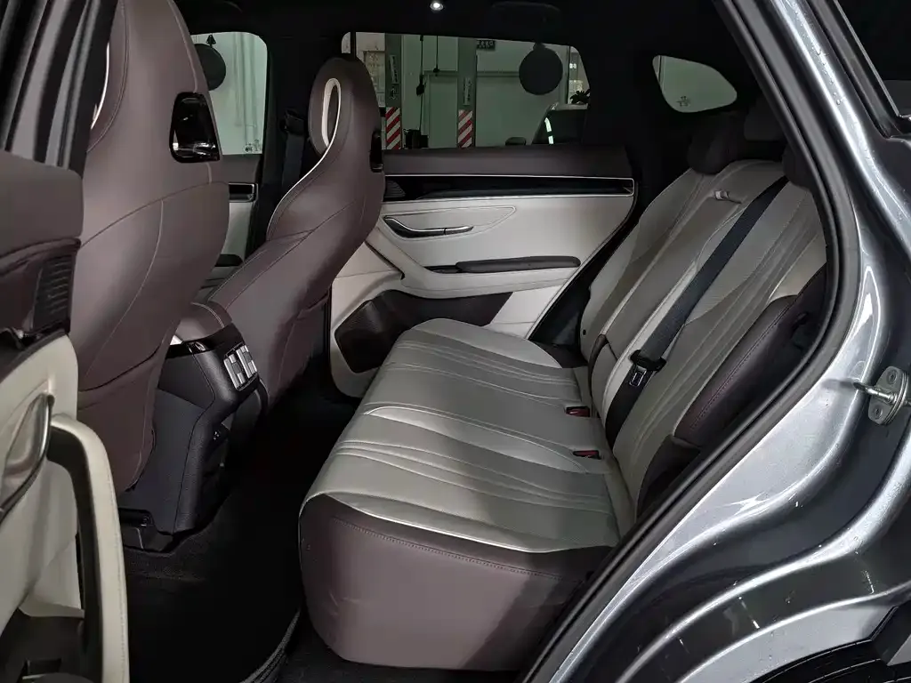 BYD PLUS New Energy 2025 из CN, фото 6