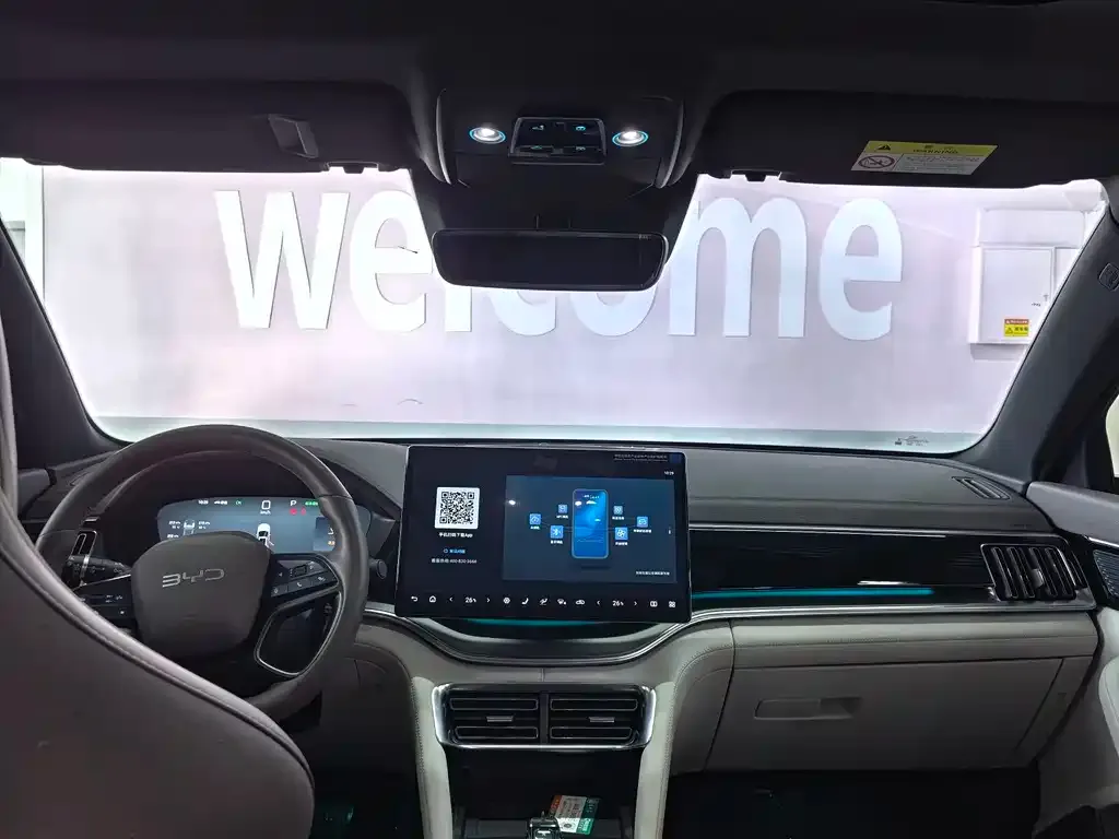 BYD PLUS New Energy 2025 из CN, фото 8
