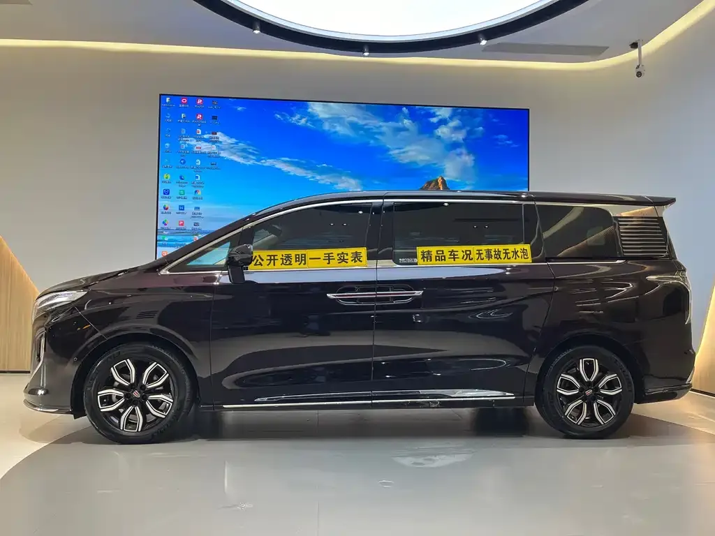 Hongqi HQ9 — фото 3