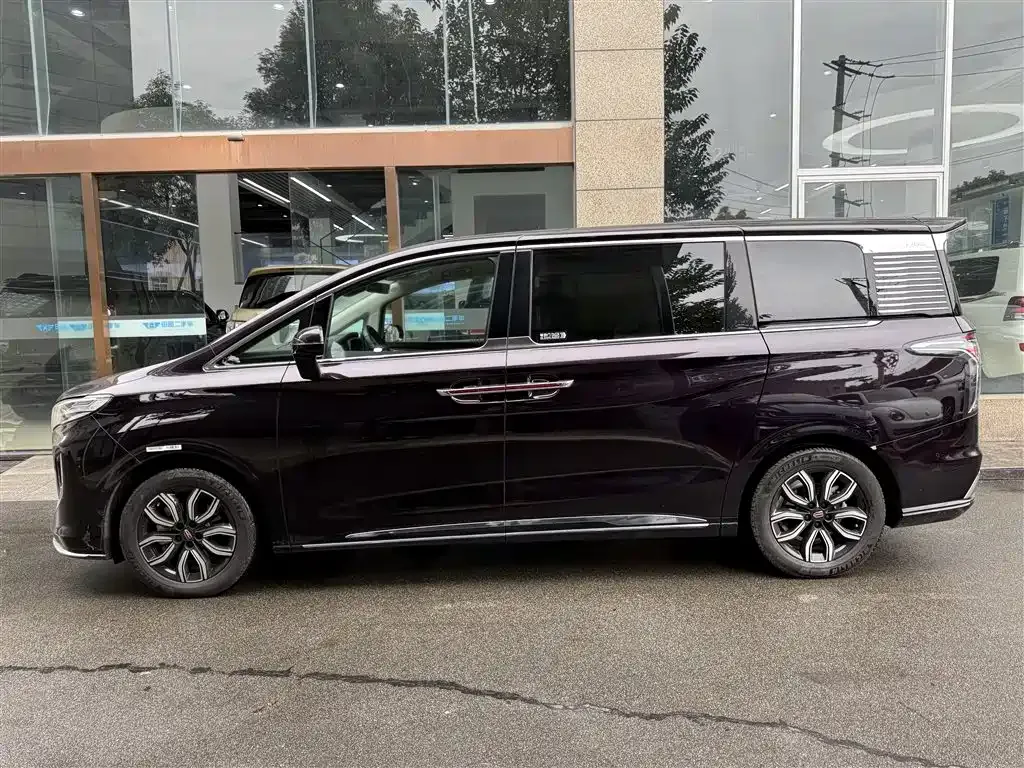 Hongqi HQ9 2023 из CN, фото 3