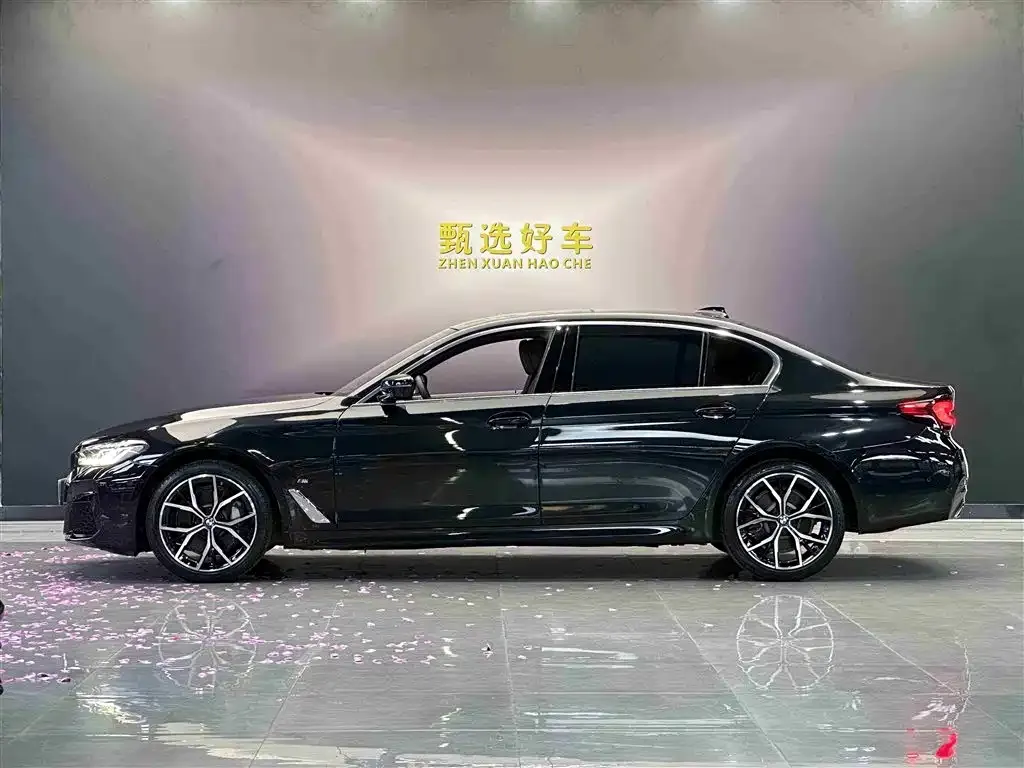 BMW 5 Series 2022 из CN, фото 9