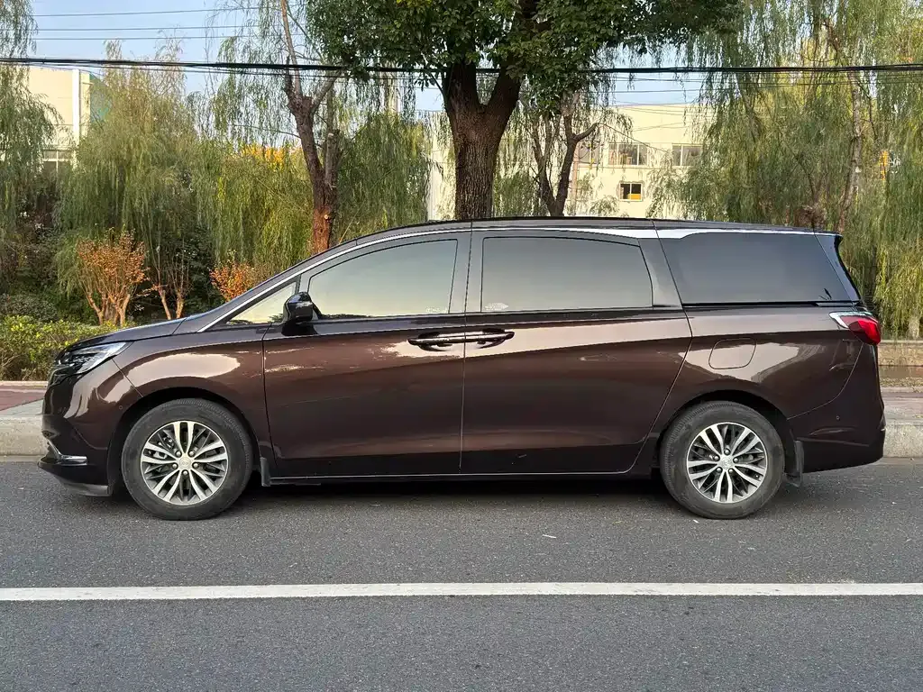 Buick GL8 2021 из CN, фото 4