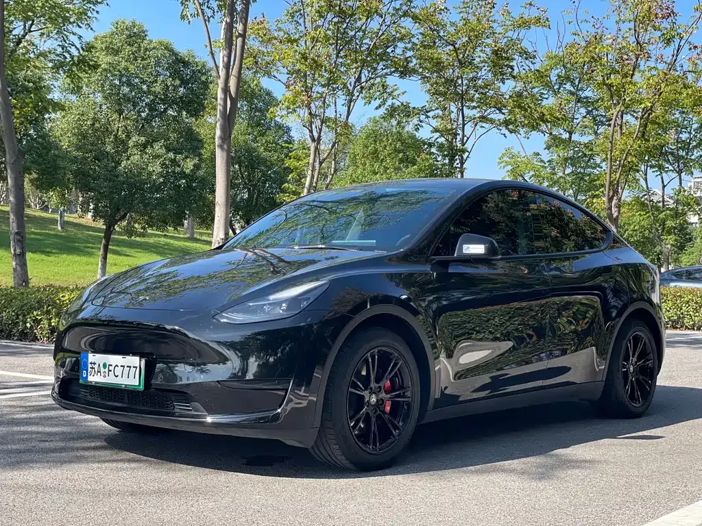 Tesla Model Y 2022 из CN, фото 1